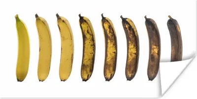 Produktbild von MuchoWow® Poster Banane - Obst - Gelb 160x80 cm - Foto Poster
