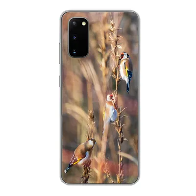 Produktbild von MuchoWow® Handyhülle Schutzhülle Hülle für Samsung Galaxy S20 Vögel - Äste - Wald Silikon Softcase Handy Hülle - Bild