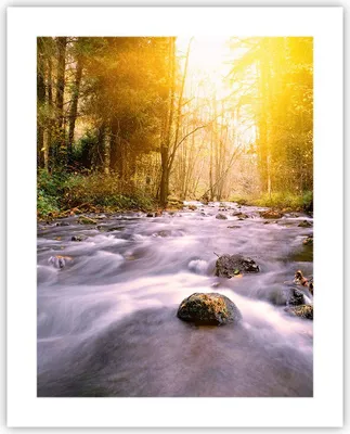 Produktbild von Poster - Poster ohne Rahmen - Herbst Wald Berg Fluss - 40x50 cm - Wand Bild - Wanddeko - Wandbilder - Kunstposter - Wandposter - Bilder - Kunstdruck - Wanddekoration - Wandbild - P2XPA40x50-0504
