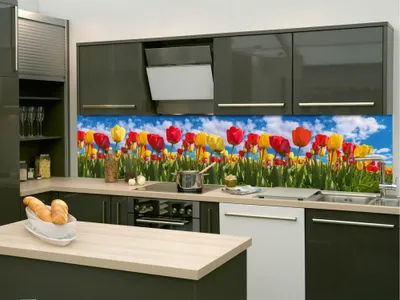 Zdjęcie produktu dla Fototapety Dimex do kuchni, samoprzylepne KI-260-131 Pole tulipanów 60 x 260 cm