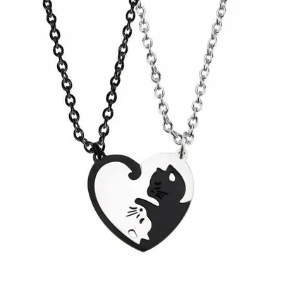 Zdjęcie produktu dla Naszyjnik przyjaźni Best Friends Yin Yang Set
