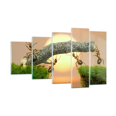Produktbild von Bilder auf glas - Tiere Ameisen Brücke Natur - 100x60cm - Glasbilder - Wandbilder - Kunstdruck - zum Aufhängen bereit - Wanddekoration aus Glas - Glas Bilder - Wandbild auf Glas - GEG100x60-2104