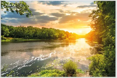 Produktbild von Wallario Wandbild Sonnenuntergang am Fluss in grüner Umgebung, Größe: 61 x 91,50 cm, Poster mit weißem Aluminiumrahmen