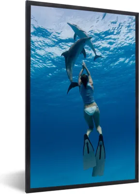 Produktbild von MuchoWow® MuchoWow® Gerahmtes Poster Delphin - Tauchen - Wasser 60x90 cm - Poster mit zchwarzem Bilderrahmen - Kunst