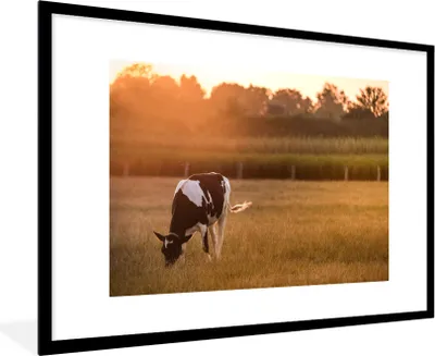 Produktbild von MuchoWow® Gerahmtes Poster Kuh - Sonne - Tiere 90x60 cm - Poster mit Schwarzem Bilderrahmen Wandposter Rahmen Foto Bilder - Wanddekoration - Fotos