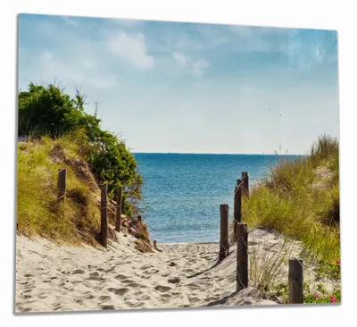 Produktbild von Wallario Herdabdeckplatte aus Glas, Größe 60 x 52 cm 1-teilig, Motiv Auf dem Sandweg zum Strand