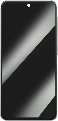 Produktbild von Clappio, Komplettdisplay Galaxy A56 OLED + Touchscreen + Gehäuse, Dunkelgrün