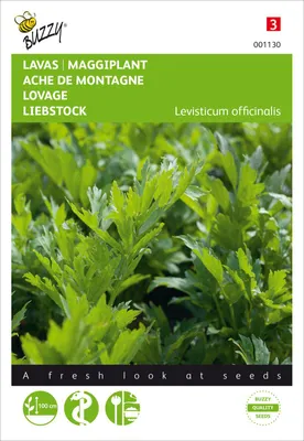 Produktbild von Liebstock | Liebstöckelsamen von Buzzy Seeds