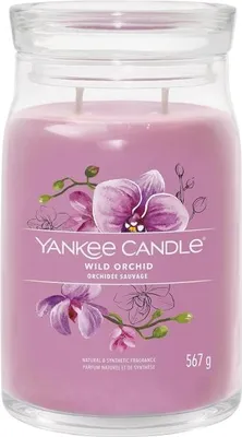 Produktbild von Yankee Candle Wild Orchid, Zylinder, Violett, Orchidee, 90 h, 1 Stück(e)