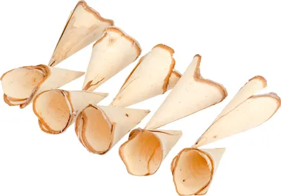Produktbild von Holz Tüten 10 Stück ca. 10-14cm
