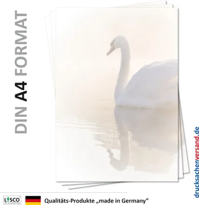 Produktbild von Motiv Briefpapier (Tiere-5114, DIN A4, 100 Blatt) Weißer Schwan von der Sonne beschienen schwimmt auf einem See und wirf einen schönen Schatten Motivpapier