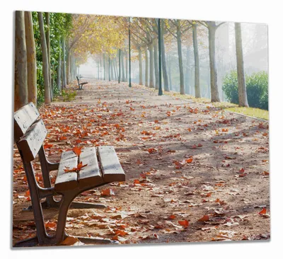 Produktbild von Wallario Herdabdeckplatte aus Glas, Größe 60 x 52 cm 1-teilig, Motiv Einsame Parkbank an einer Allee - Herbststimmung