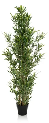 Obrázek produktu pro hjh OFFICE Umělá rostlina BAMBOO Umělá rostlina bambus Výška 165,0 cm Dekorace