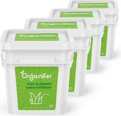 Zdjęcie produktu dla Nawóz Siarczan Żelaza – Usuwacz Mchu – 20 kg – Na 1000 m2 - Organifer