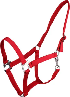 Produktbild von ARBO-INOX® Halfter mit Schiebeschnalle Stallhalfter Basic QHP Farbe - rot Größe - Mini Shetty