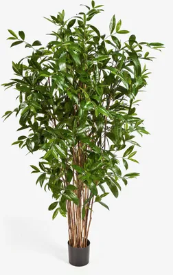Produktbild von artplants.de Künstliche Dracaena Surculosa, 1150 Blätter, grün, 180cm - Künstliche Zimmerpflanze - Deko Dracena