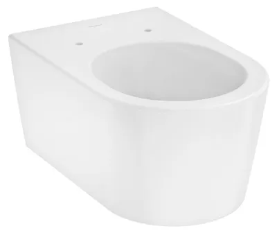 Obrázok produktu pre HANSGROHE 62024450 Nástenné WC EluPura S 540mm