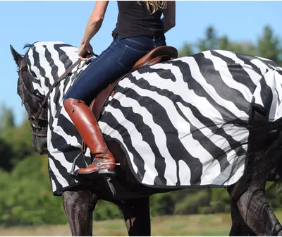 Immagine prodotto di Bucas Fly Tappeto da equitazione Buzz-Off Equitazione Zebra Zebra 145
