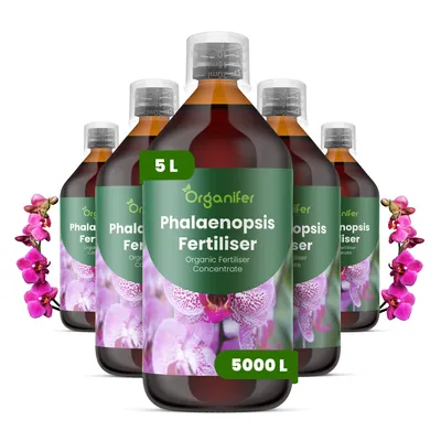 Produktbild von Phalaenopsis Flüssigdünger 5x1L – 3-4-3 NPK – Flüssig-Pflanzendünger für Orchideen – Organifer
