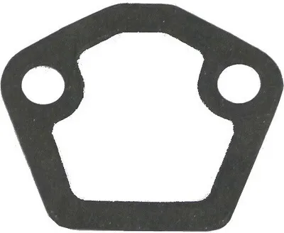 Produktbild von Benzinpumpendichtung Fire 510584