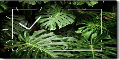 Produktbild von Dekor Leinwand Uhr Wandbilder 60x30 Gemälde Blüten Pflanzen Monstera Blätter - weiße Hände