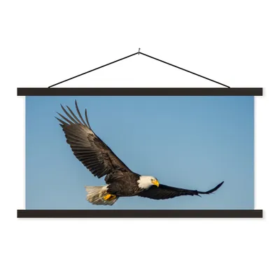 Produktbild von MuchoWow® Textilposter Vogel - Adler - Raubvögel 150x75 cm mit schwarzem Rahmen - Posterleiste