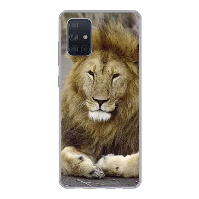 Produktbild von MuchoWow® Handyhülle Schutzhülle Hülle für Samsung Galaxy A51 Löwe - Afrika - Tier Silikon Softcase Handy Hülle - Schutzabdeckung