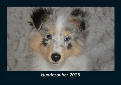 Produktbild von Hundezauber 2025 Fotokalender DIN A5