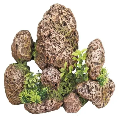 Image de Pierre décorative avec plantes pour aquariums, dimensions : 23,5 x 14,5 cm