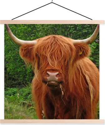Produktbild von MuchoWow® Textilposter Schottisches Hochlandrind - Kuh - Gras 40x40 cm mit holzfarbenen Rahmen - Posterleiste