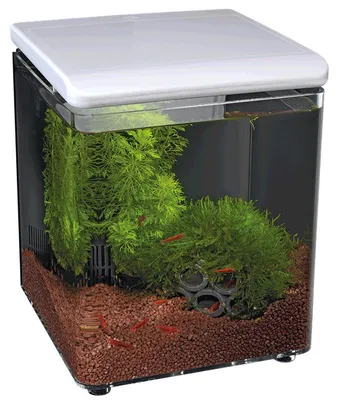 Productafbeelding van SuperFish Home 8 Aquarium | 8L | 20,5 x 20,5 x 25,7 CM Wit