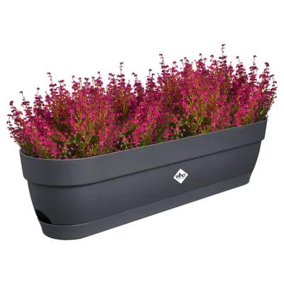 Produktbild von elho® Vibia campana Balkonkasten Anthrazit 70 cm - Kunststoff