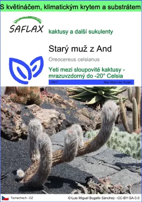 Obrázek produktu pro SAFLAX Garden to go - Starý muž z And - Oreocereus celsianus - 40 Semena - S květináčem, klimatickou poklicí a pěstebním substrátem