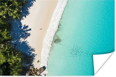Produktbild von MuchoWow® Poster Meer - Strand - Bäume 90x60 cm - Schlafzimmer