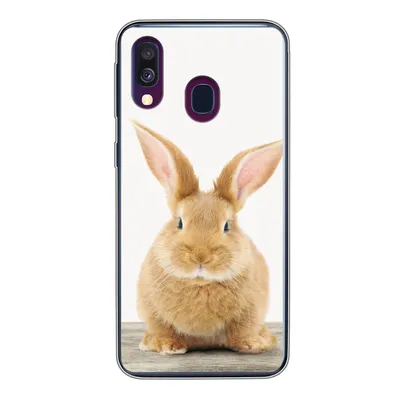 Produktbild von MuchoWow® Handyhülle Schutzhülle Hülle für Samsung Galaxy A40 Kaninchen - Babykaninchen - Tiere - Kinder - Mädchen - Jungen Silikon Softcase Handy Hülle - Handy-Tasche