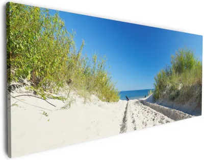 Produktbild von Wallario Premium Leinwandbild Auf dem Sandweg zum Strand - Blauer Himmel über dem Meer in Größe 80 x 200 cm