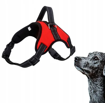 Produktbild von Atmungsaktives, verstellbares Hundegeschirr rot Größe S