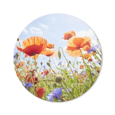 Produktbild von MuchoWow® Mauspad Mousepad Blumen - Mohn - Frühling - Natur - Rot - Blau 30x30 cm - Mousepads - Maus Mat - Pad - Mausunterlage - Tischunterlage - Schreibtischmatten