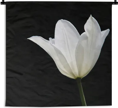 Produktbild von MuchoWow® Wandteppich Wandbehang Weiße Tulpe 60x60 cm Tapisserie Dekoration Wandtuch - Dekorationen - Wand Decke