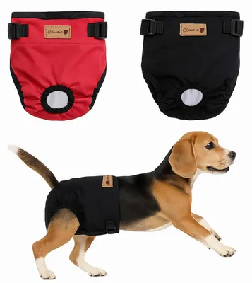 Imagen del producto de Paquete de 2 pañales reutilizables para perros
