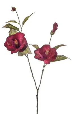 Produktbild von Künstliche Blume Hibiskus Schönheit, 100 cm Hortus