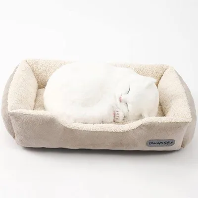 Produktbild von Orthopädisches Hundebett beige S