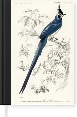 Produktbild von MuchoWow® Notizbuch Tagebuch Haushaltsbuch Notebook A5 Vogel - Vintage - Zweig - Notizblock - Notizheft - Notebook - Schreibblock - Papier