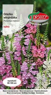 Zdjęcie produktu dla Nasiona mieszanki ćmy Virginia 0,1g - Torseed