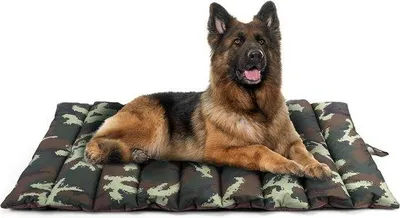 Produktbild von Wasserbeständiges Camouflage-Hundebett - 110 x 68 cm - Waschmaschinengeschützt - Wasserabweisend - Für Außenbereich