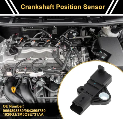 Image de 1 Pc No.9664893880 Vilebrequin Position Capteur Pour Ford Kuga 2.0 Tdci 2008-2010 Robuste Voiture Moteur Manivelle Capteur Ckp