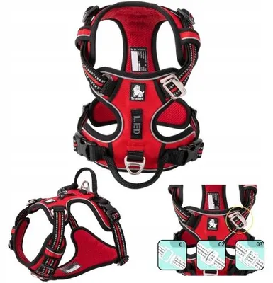 Produktbild von Truelove Hundegeschirr Front Line Premium Rot/Schwarz L