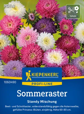 Artikelbild 2 von 'Sommeraster Standy Mischung' aus der Kategorie Asternsamen