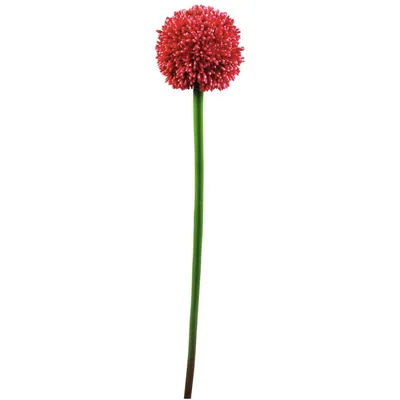 Image de EUROPALMS Branche d'allium, artificielle, rouge, 55cm (82530568)