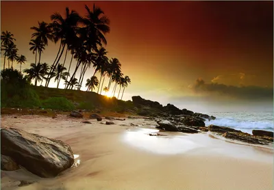 Produktbild von Wallario Fototapete Vliestapete, seidenmatte Oberfläche, einfache Verarbeitung, Größe 200 x 140 cm, Motiv Sri Lanka - Palmenstrand mit Sonnenuntergang